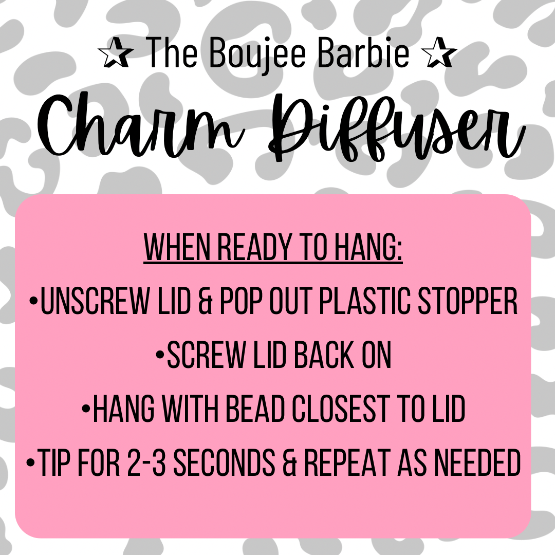 Car Charm Diffuser