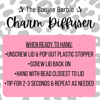 Car Charm Diffuser
